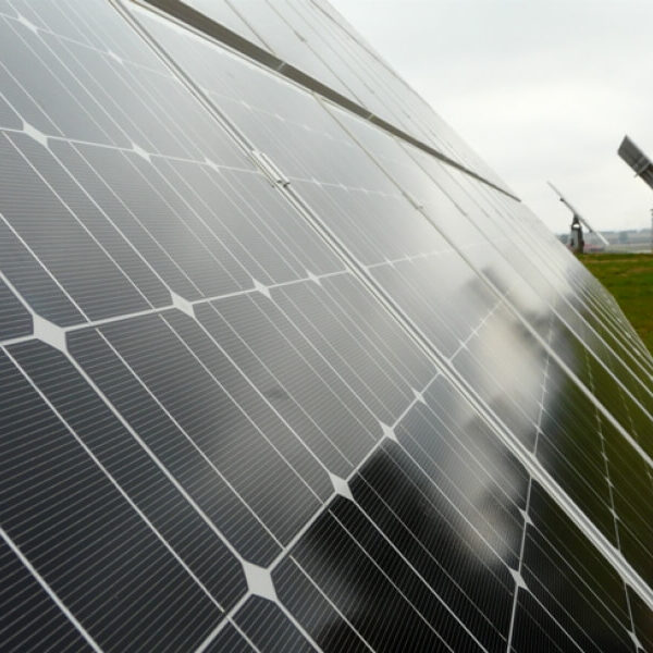Detalle de una de las placas solares en el parque fotovoltaico Acedera.