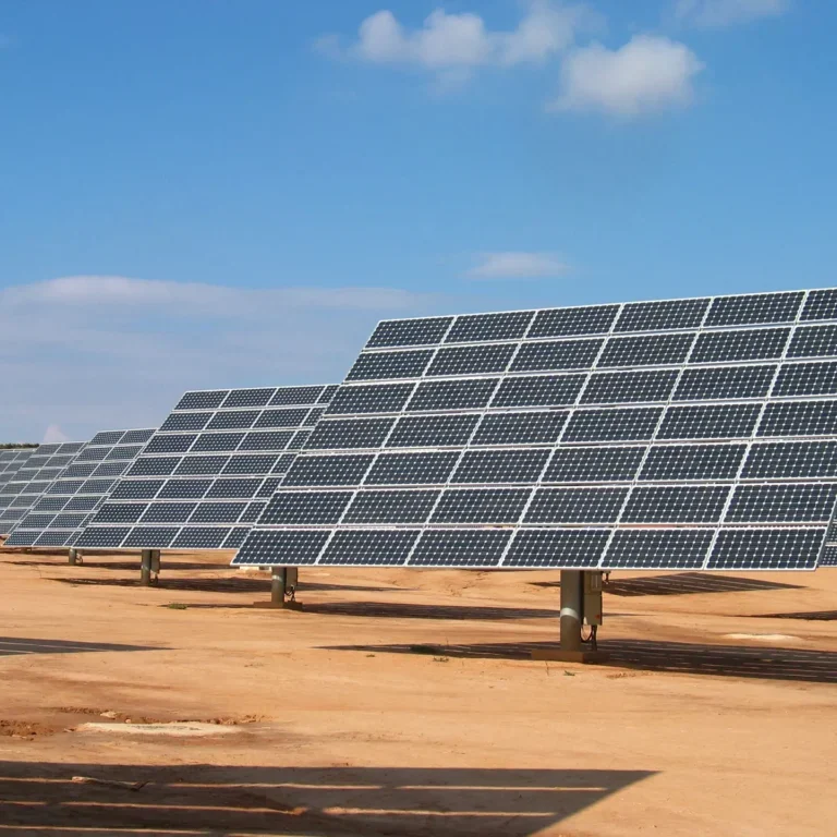 Placas solares en el parque La Montanera