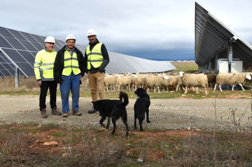 Agrovoltaica en Casa Fuerte