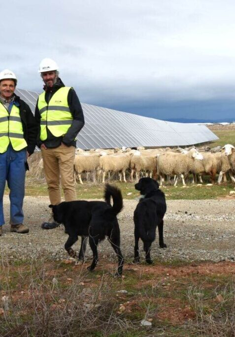 Agrovoltaica en Casa Fuerte