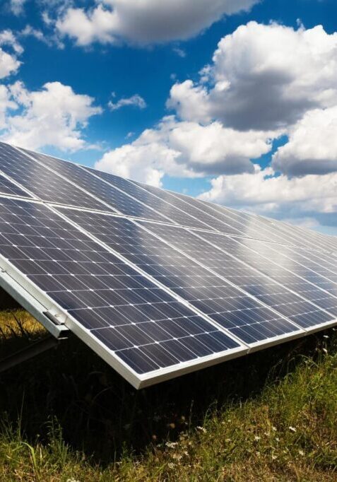 Placas solares en un parque fotovoltaico.